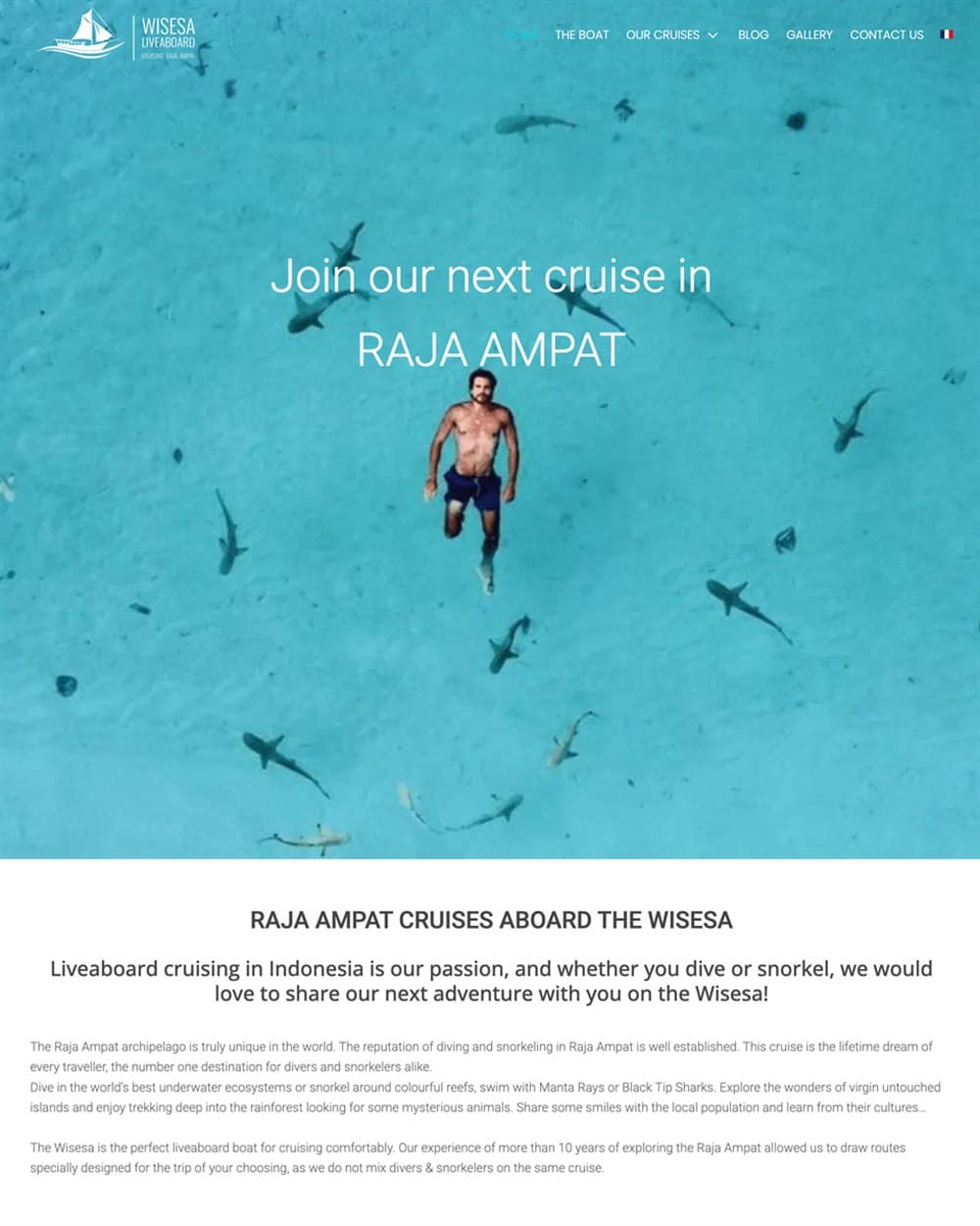 Cruising Raja Ampat website showing a snorkeller above reef sharks in shallow turquoise water